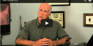 The CShop: Affordable Celebrity Endorsement For All Sized Businesses