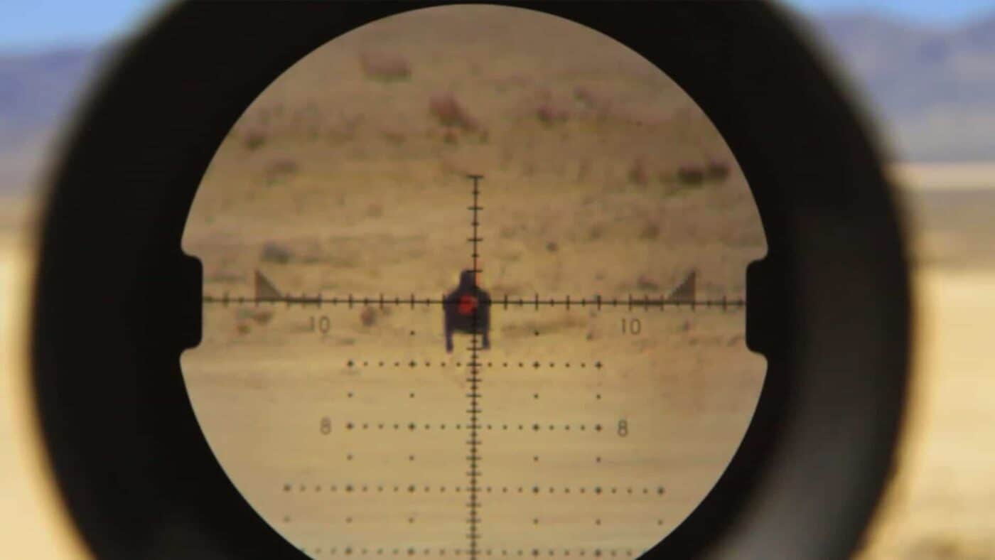 The CShop: Affordable Celebrity Endorsement For All Sized Businesses